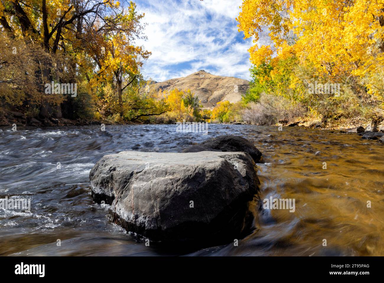 Vibrant fall colors on Clear Creek in autumn - Golden, Colorado, USA Stock Photo