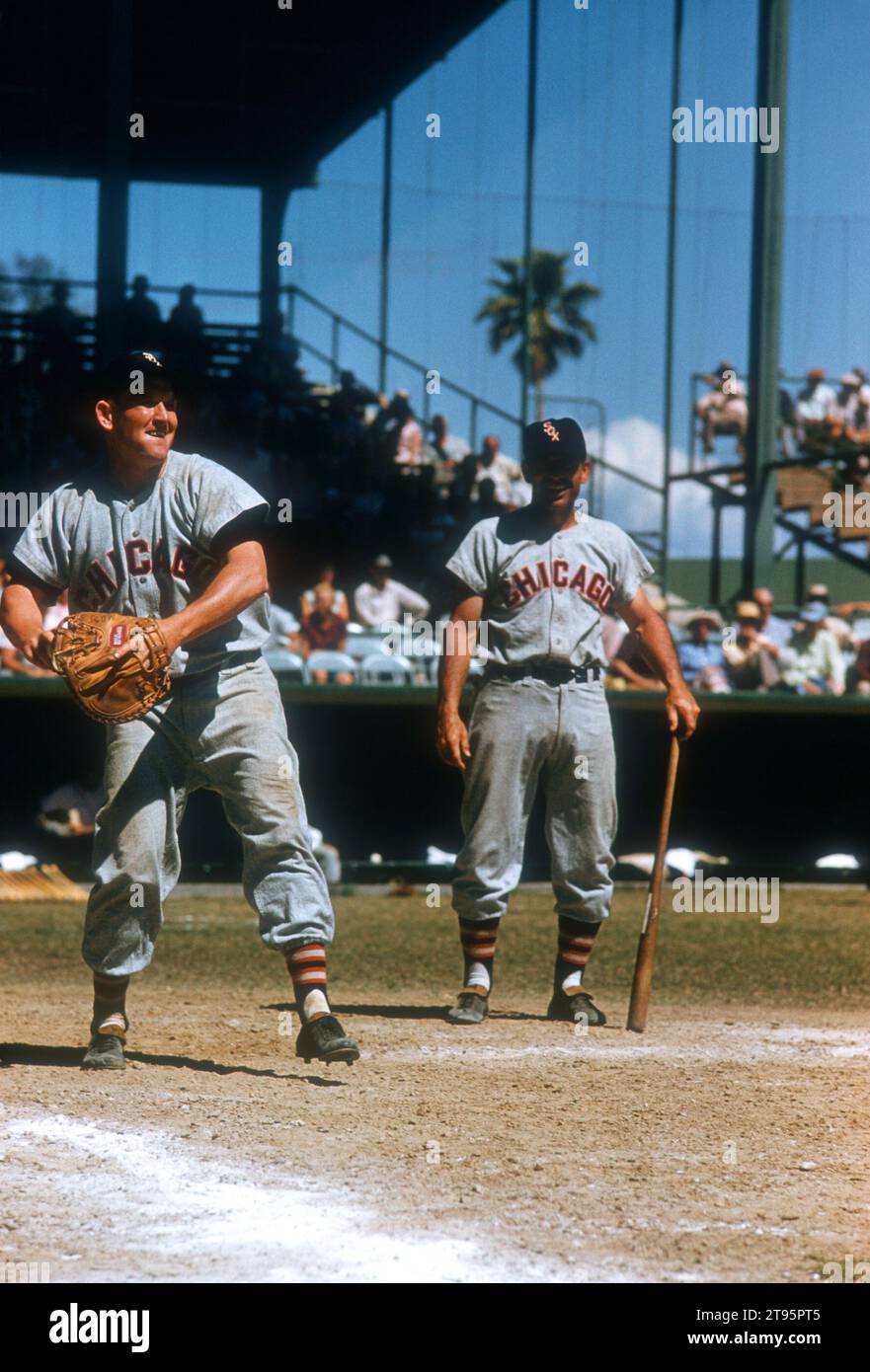FL MARCH, 1956 Catcher Les Moss 12 of the Chicago White Sox plays