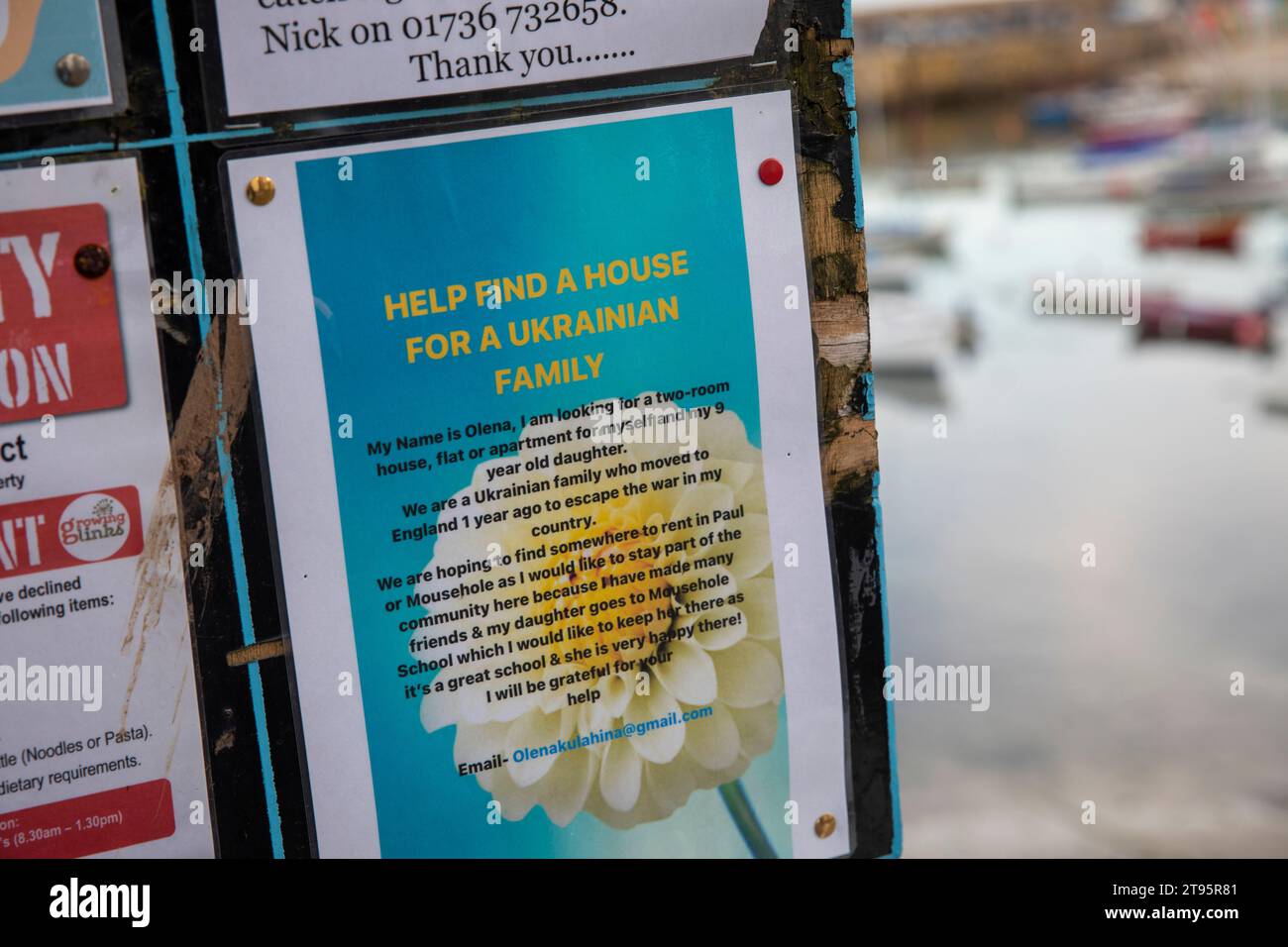 Help find a house home for Ukranian family poster in Cornwall village,England,UK,2023 Stock Photo