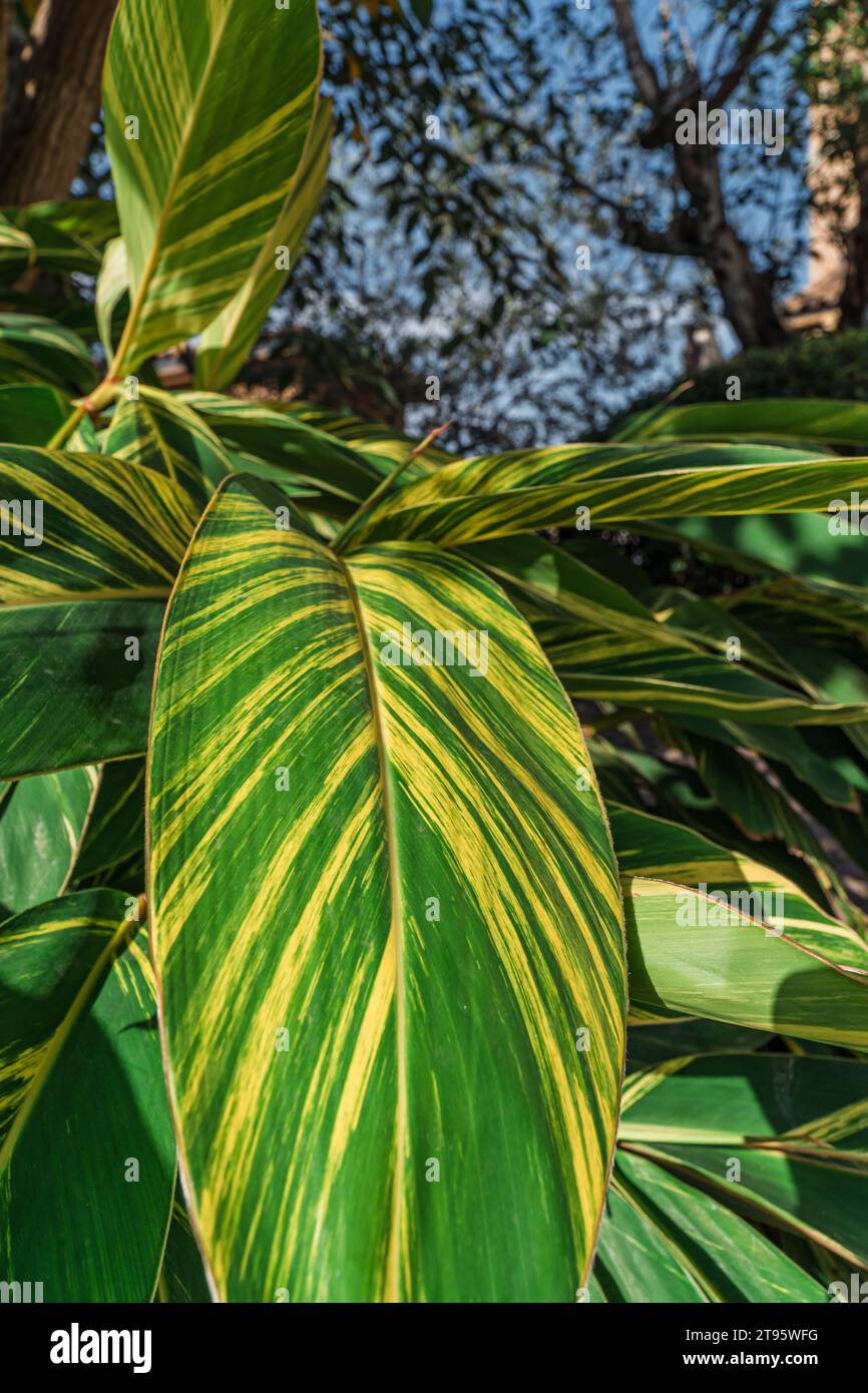 Wide shot to close up hi-res stock photography and images - Alamy