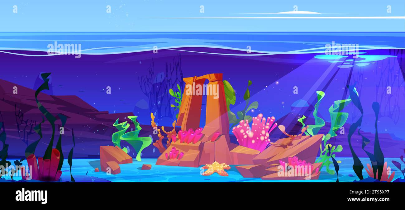 Underwater landscape with starfish and seaweeds. Vector cartoon ...