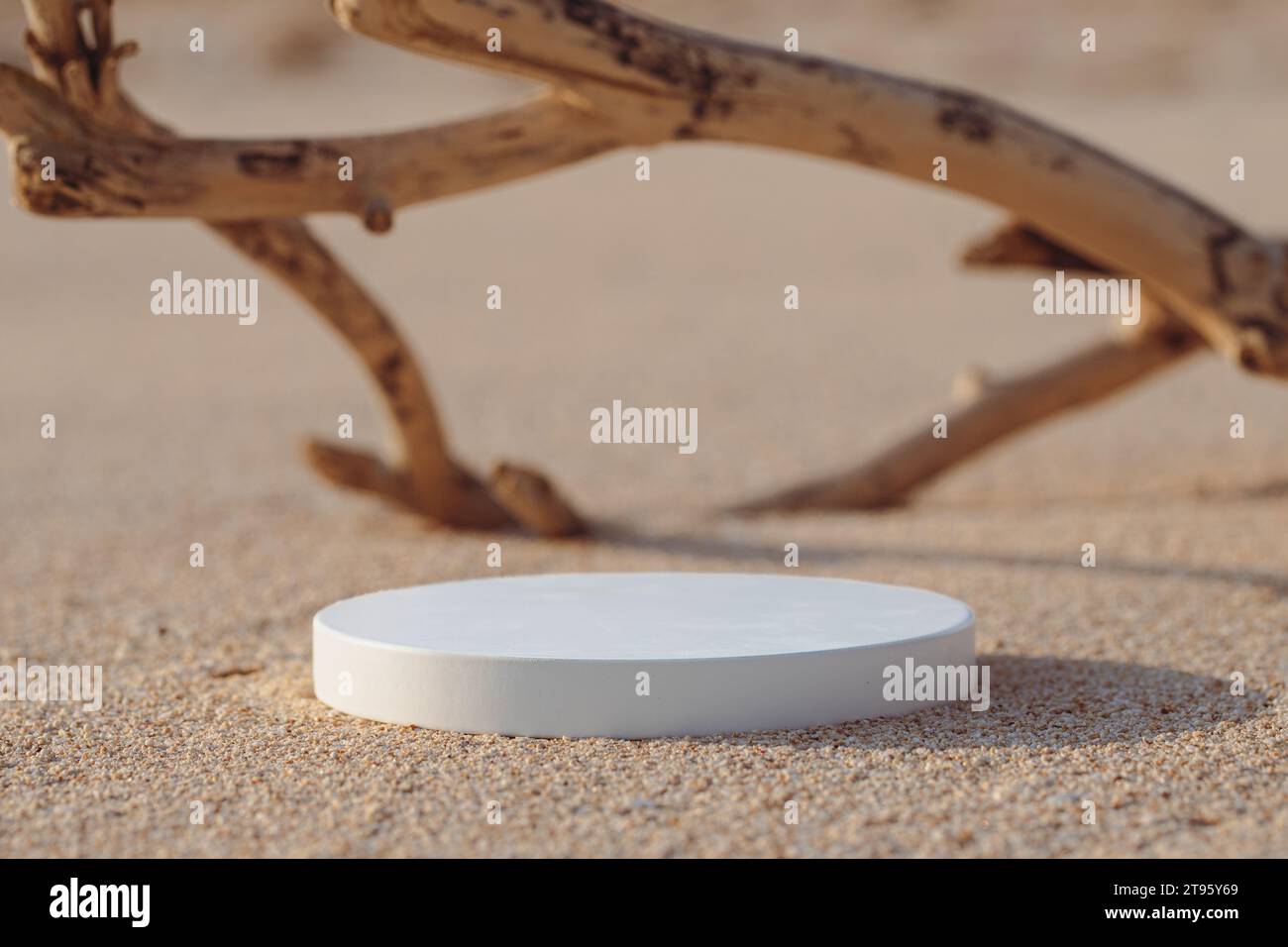 Empty round white platform podium and dry tree twig on the beach. Minimal creative composition background Stock Photo