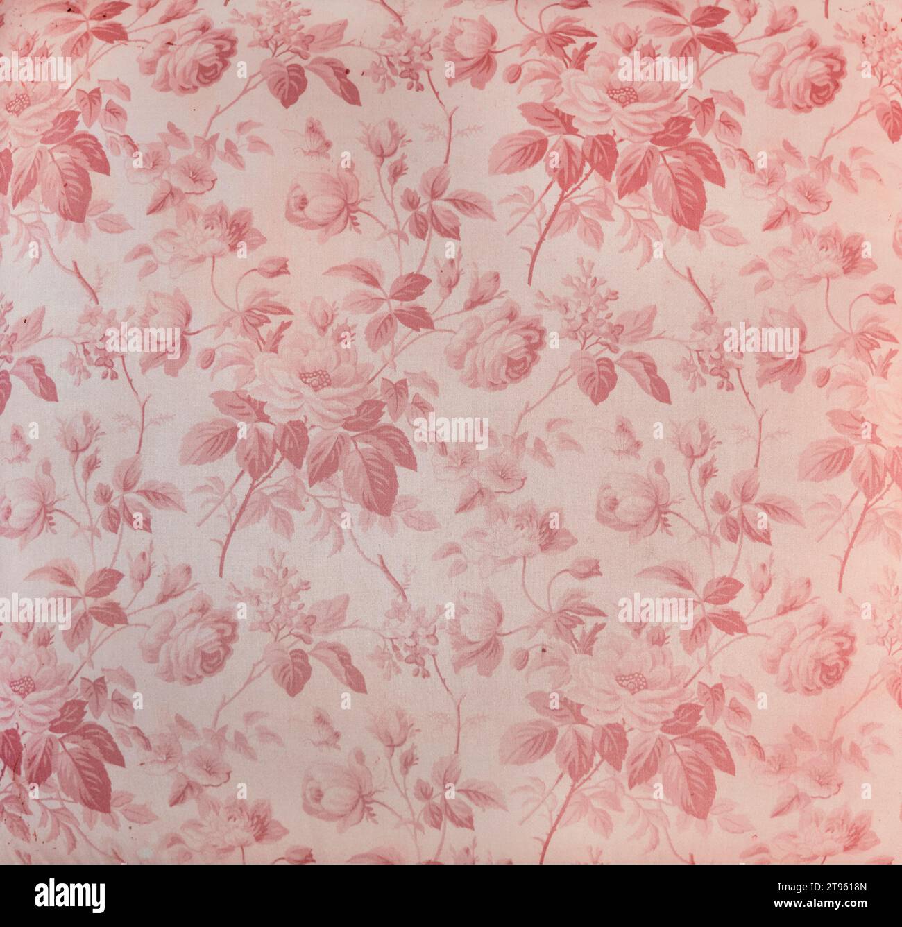 Dainty pink floral pattern background texture. Stock Photo