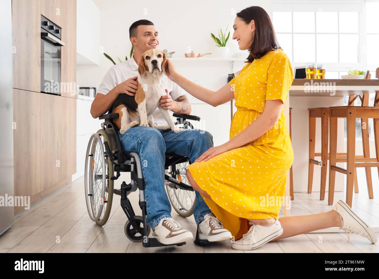 Young man in wheelchair with Beagle dog and his pregnant wife at home Stock Photo Alamy