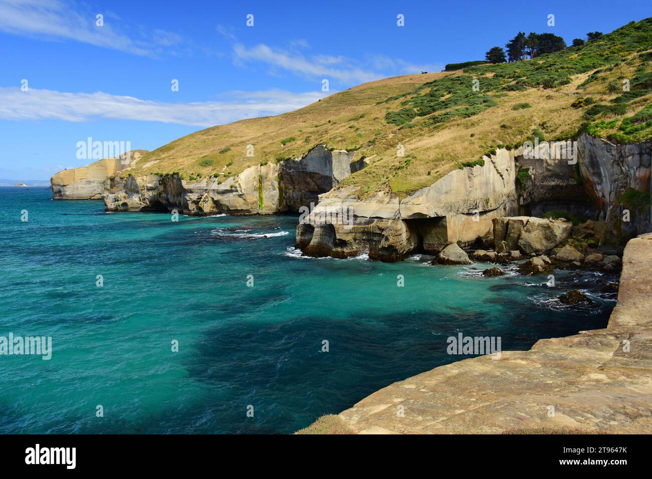 the picturesque, eroded coastline of tunnel beach on a sunny summer day, near dunedin, on the south island of new zealand Stock Photo