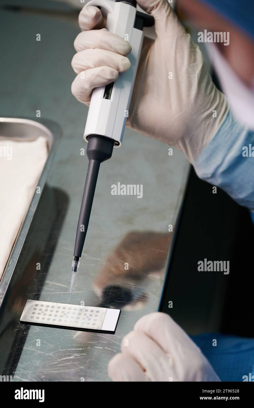 Laboratory technician works with slide for mass spectrometer Stock