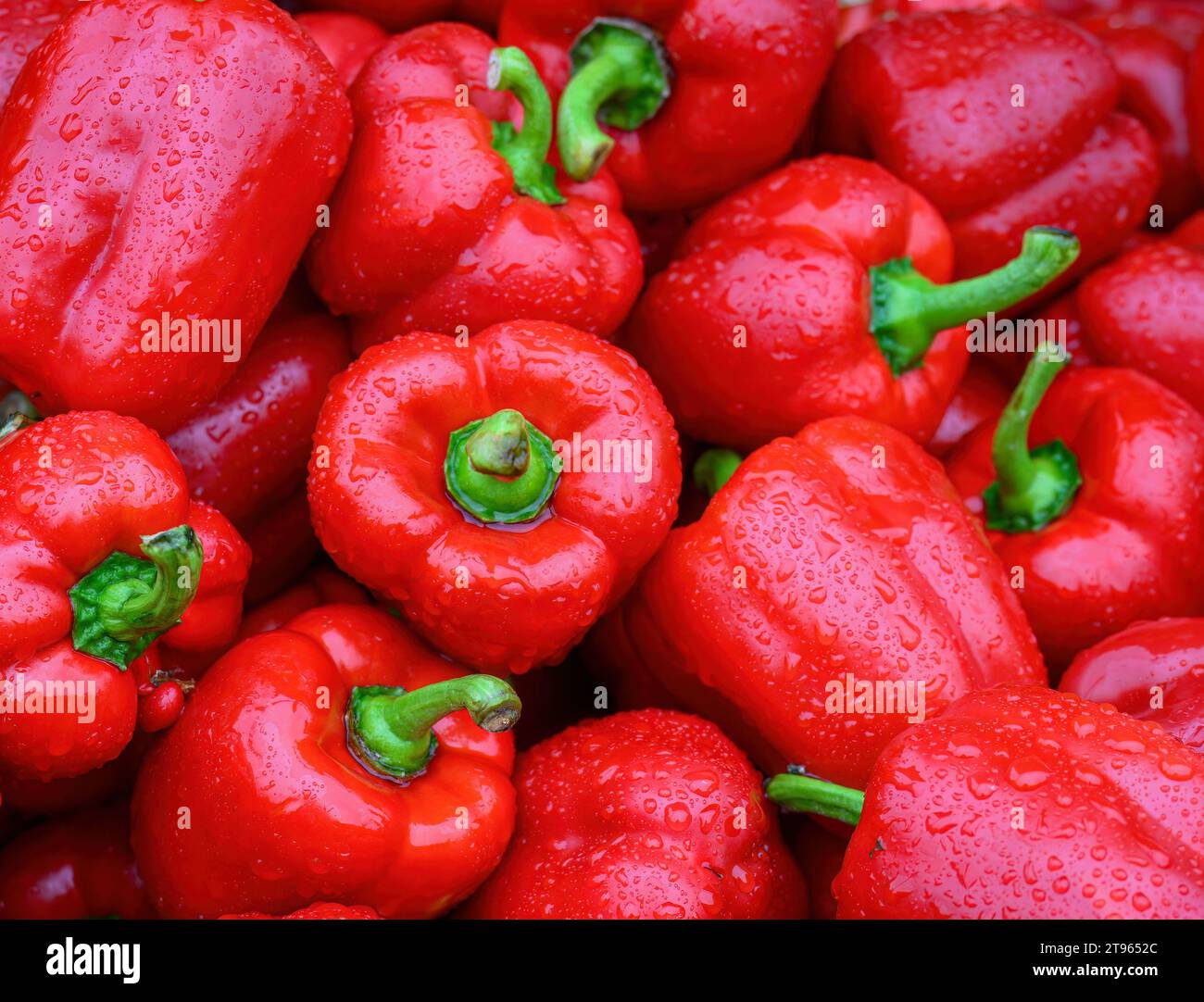 Red capsicums with raindrops in the market for sale Stock Photo