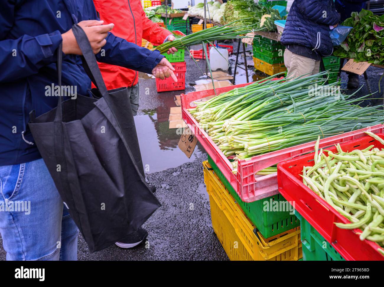 Couple choosing spring onions in the market stalls in the rain. Stock Photo