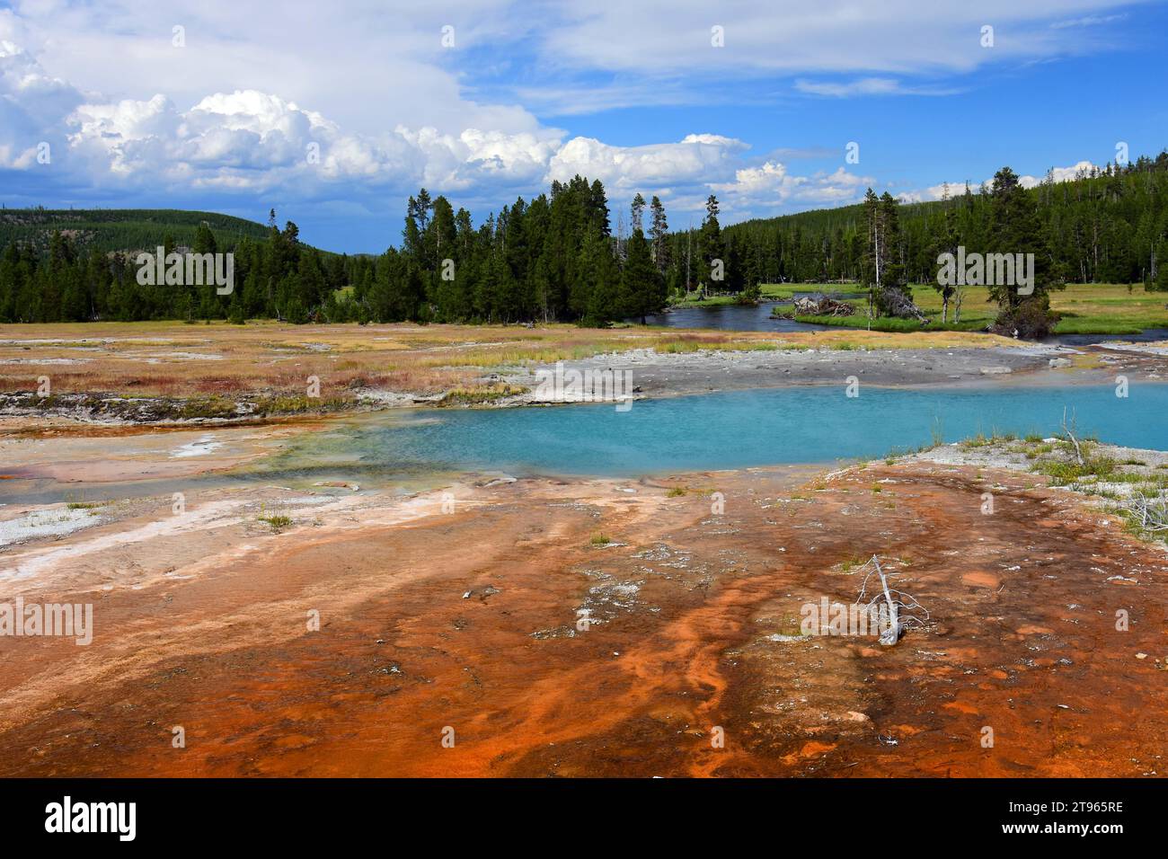 black opal pool  and microbial mat above the firehole river in the biscuit basin of  yellowstone national park, wyoming Stock Photo