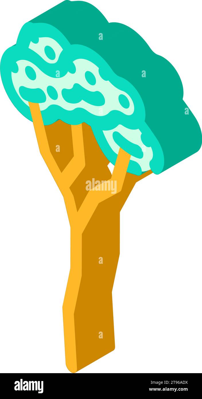 rubber tree jungle amazon isometric icon vector illustration Stock