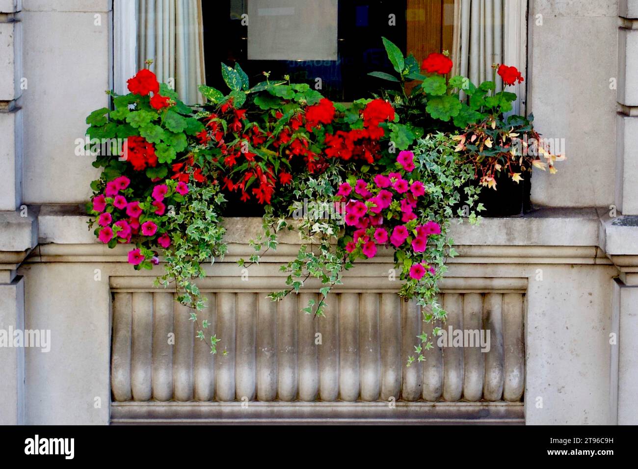 Flowers in a window box, London. Stock Photo