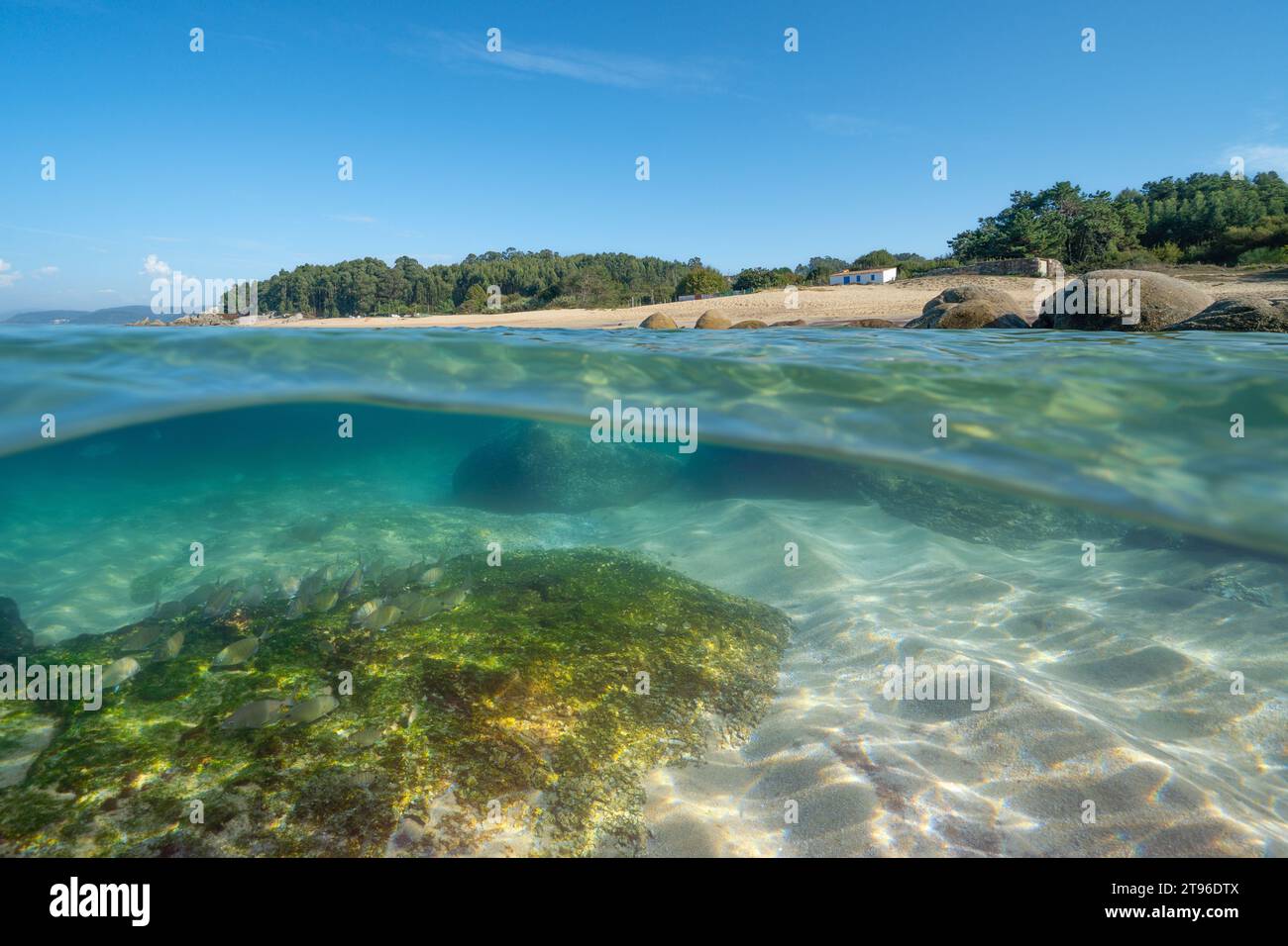 Beach coastline seascape, Atlantic ocean, Spain, Galicia, split view over under water surface, natural scene, Rias Baixas Stock Photo