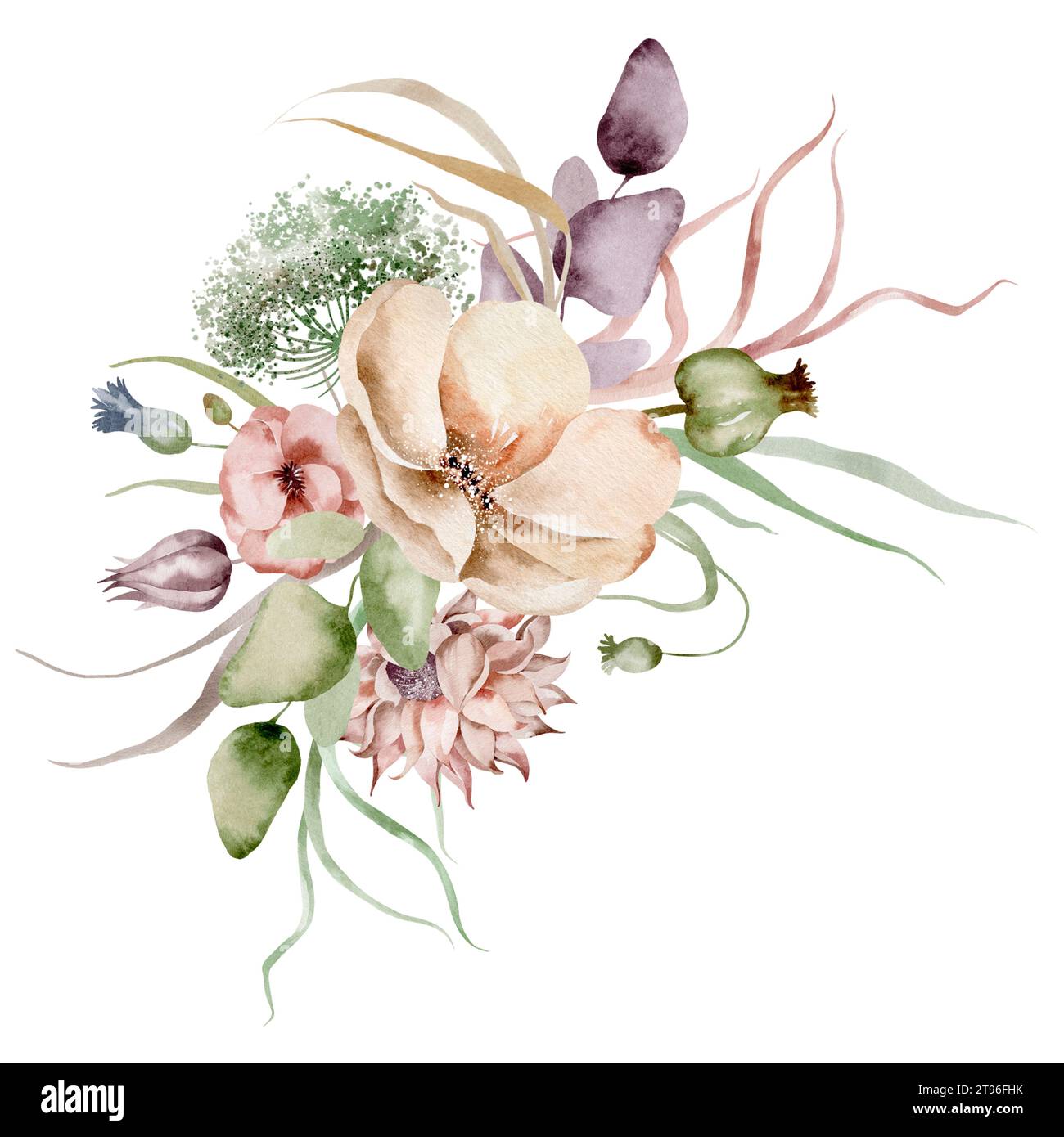 Wildflowers watercolor bouquet. Hand-drawn floral illustration of dried plants and herbs on an isolated background. Stock Photo