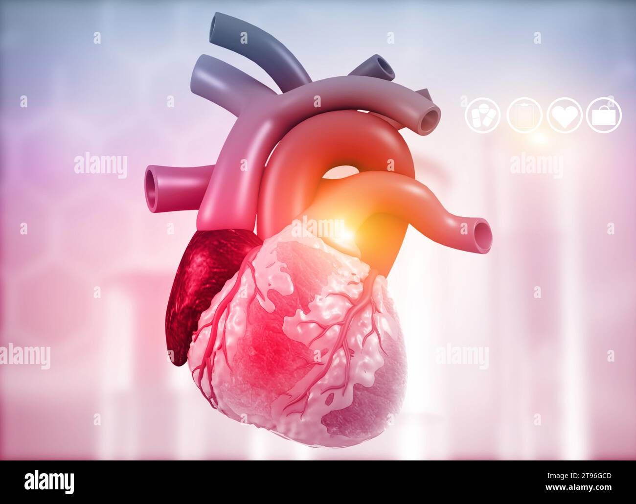 Anatomy of Human Heart on medical background. 3d render Stock Photo - Alamy