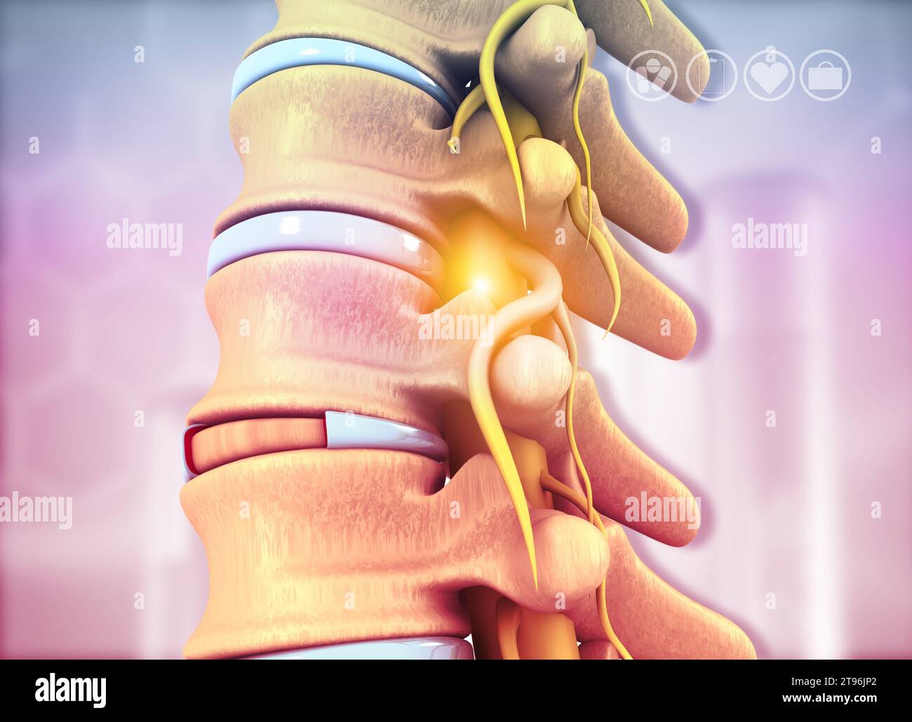 Human Vertebrae Anatomy Science Background 3d Illustration Stock Photo Human Vertebrae Anatomy Science Background 3d Illustration 2T96JP2