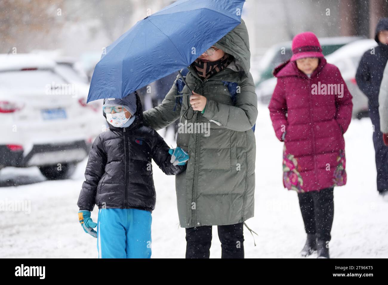 Harbin, China's Heilongjiang Province. 23rd Nov, 2023. People walk in snow in Harbin, northeast China's Heilongjiang Province, Nov. 23, 2023. China's meteorological authorities on Thursday renewed a yellow alert for cold waves. From 8 a.m. Thursday to 8 a.m. Saturday, temperatures in parts of Heilongjiang and Liaoning could decline by over 18 degrees Celsius. On Friday morning, some areas in Inner Mongolia and Heilongjiang could see minimum temperatures plunge to lower than minus 30 degrees Celsius. Credit: Wang Jianwei/Xinhua/Alamy Live News Stock Photo