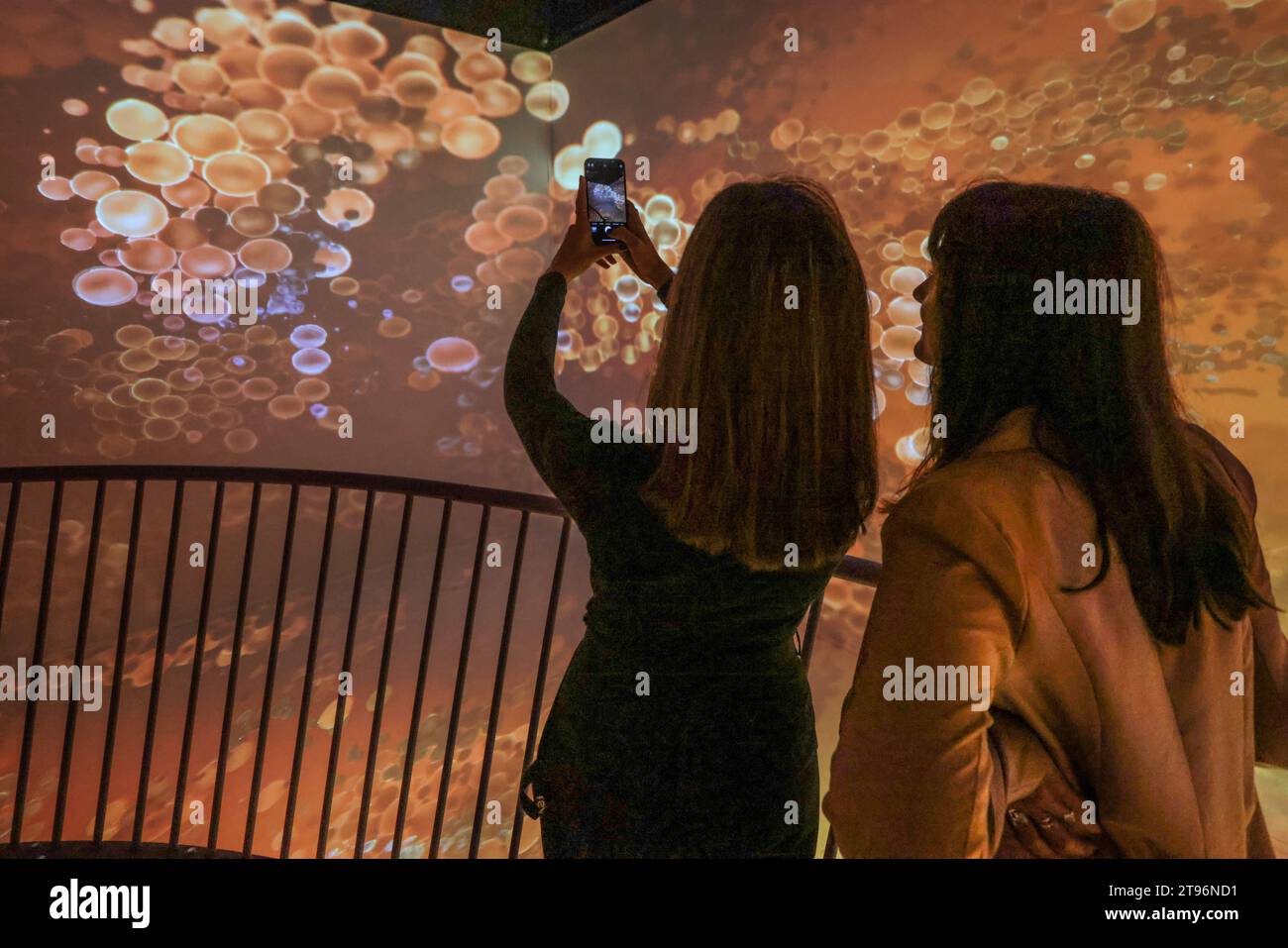 London UK 23 November 2023 Duck Bath, In this multi-sensory experience
