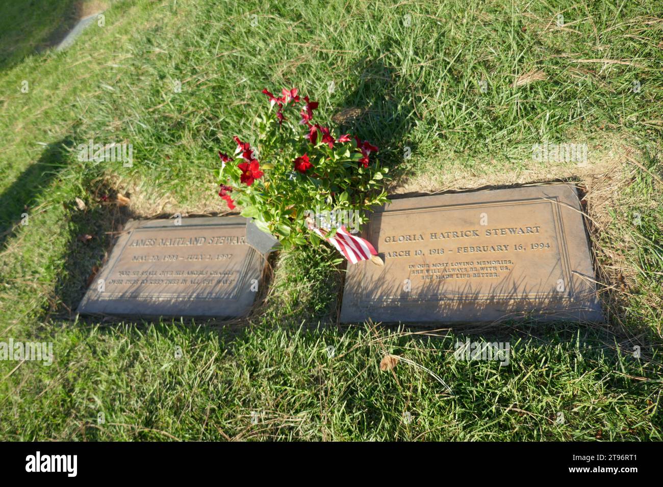 Gloria stewart hi-res stock photography and images - Alamy