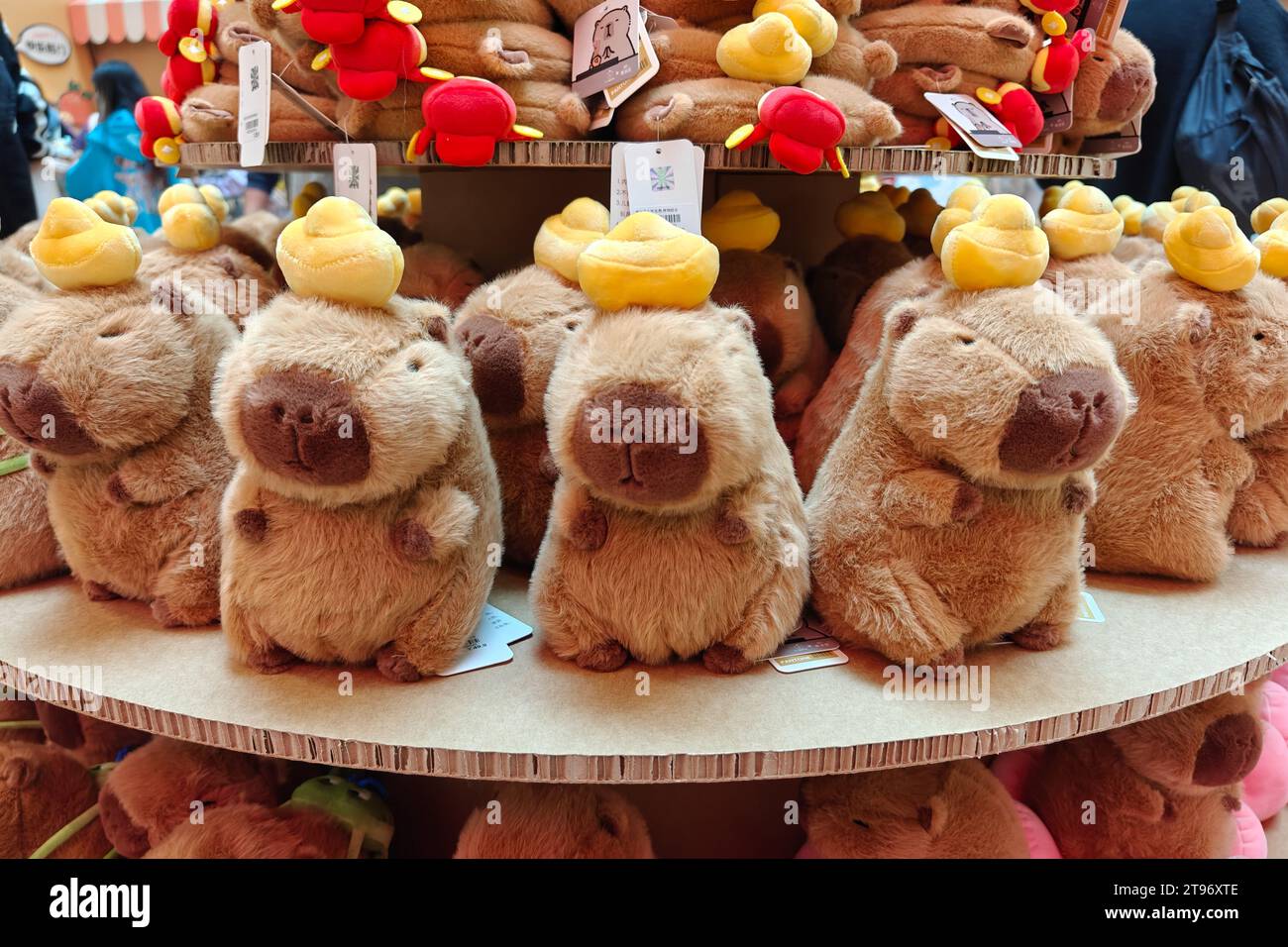 SHANGHAI, CHINA - NOVEMBER 23, 2023 - CapyBara dolls at in China's first pop-up store in Shanghai, China, November 23, 2023. Stock Photo