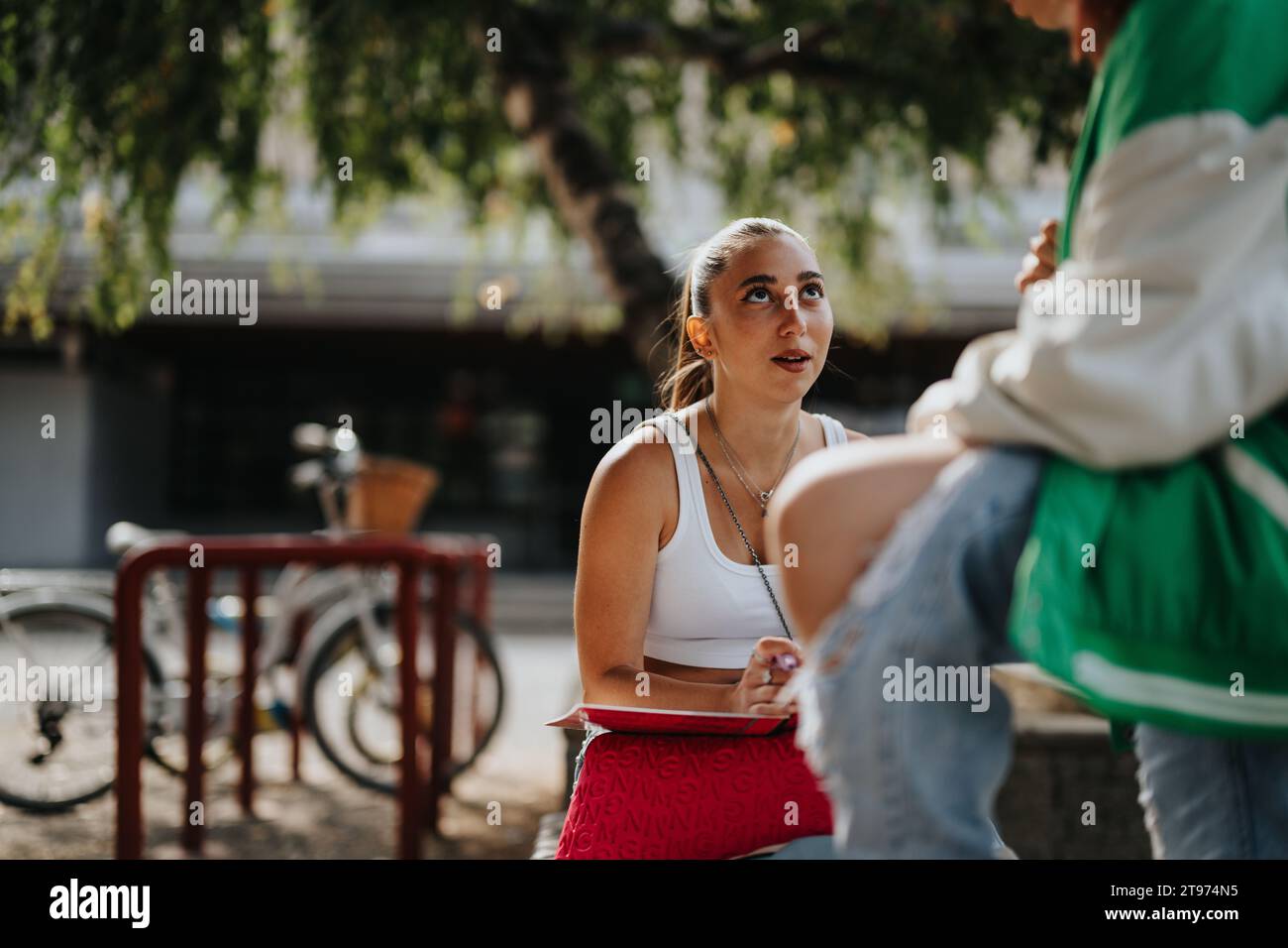 Two teenagers classmates working together hi-res stock photography and ...