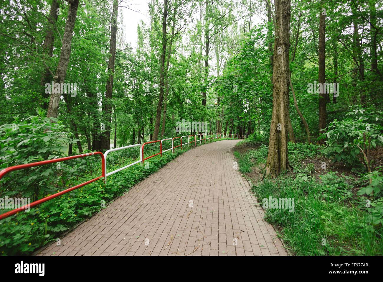 Travel campaign background hi-res stock photography and images - Alamy
