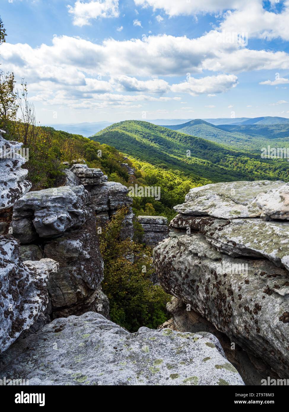 Untamed beauty wilderness reveals hi-res stock photography and images ...