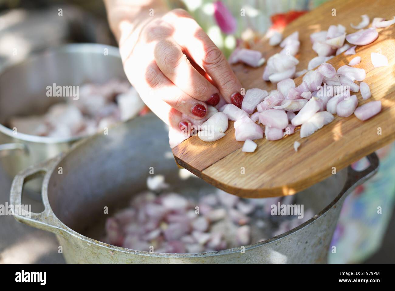 Woman cutting onion in slices hi-res stock photography and images - Alamy