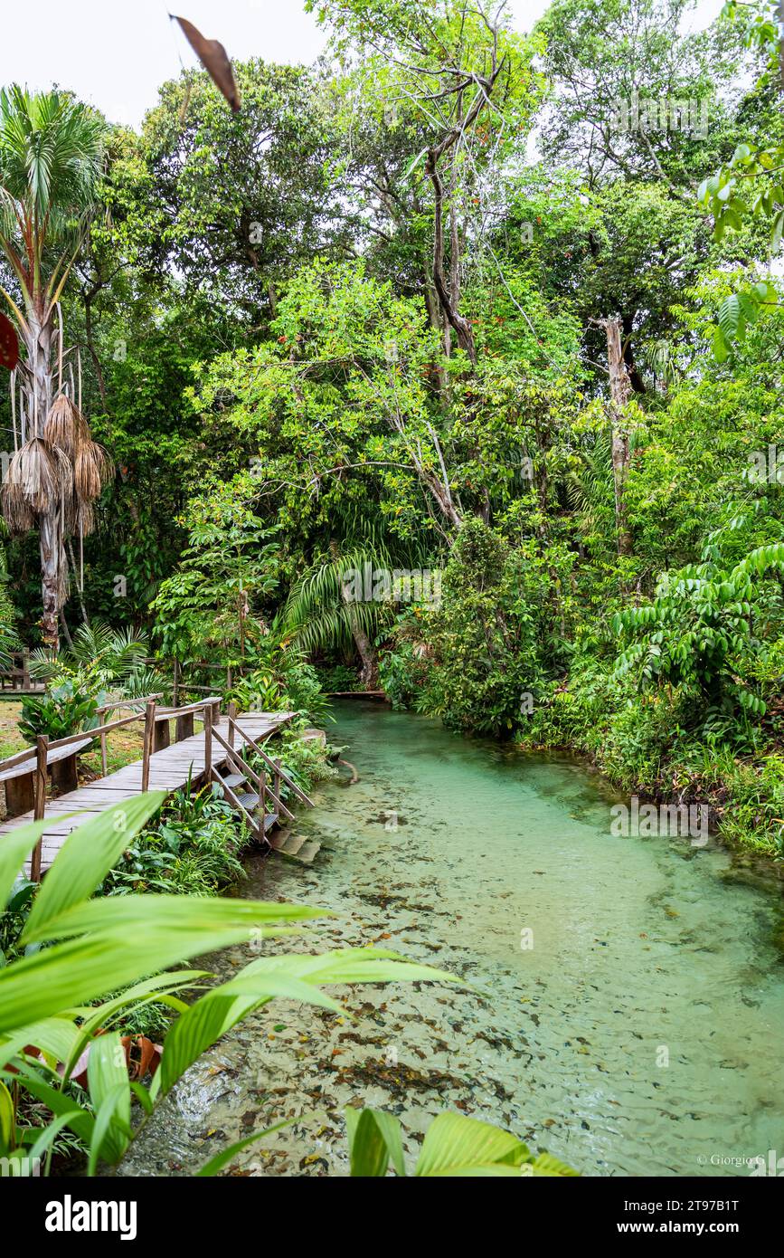 River with transparent water streaming inside rural property in Brazil Stock Photo