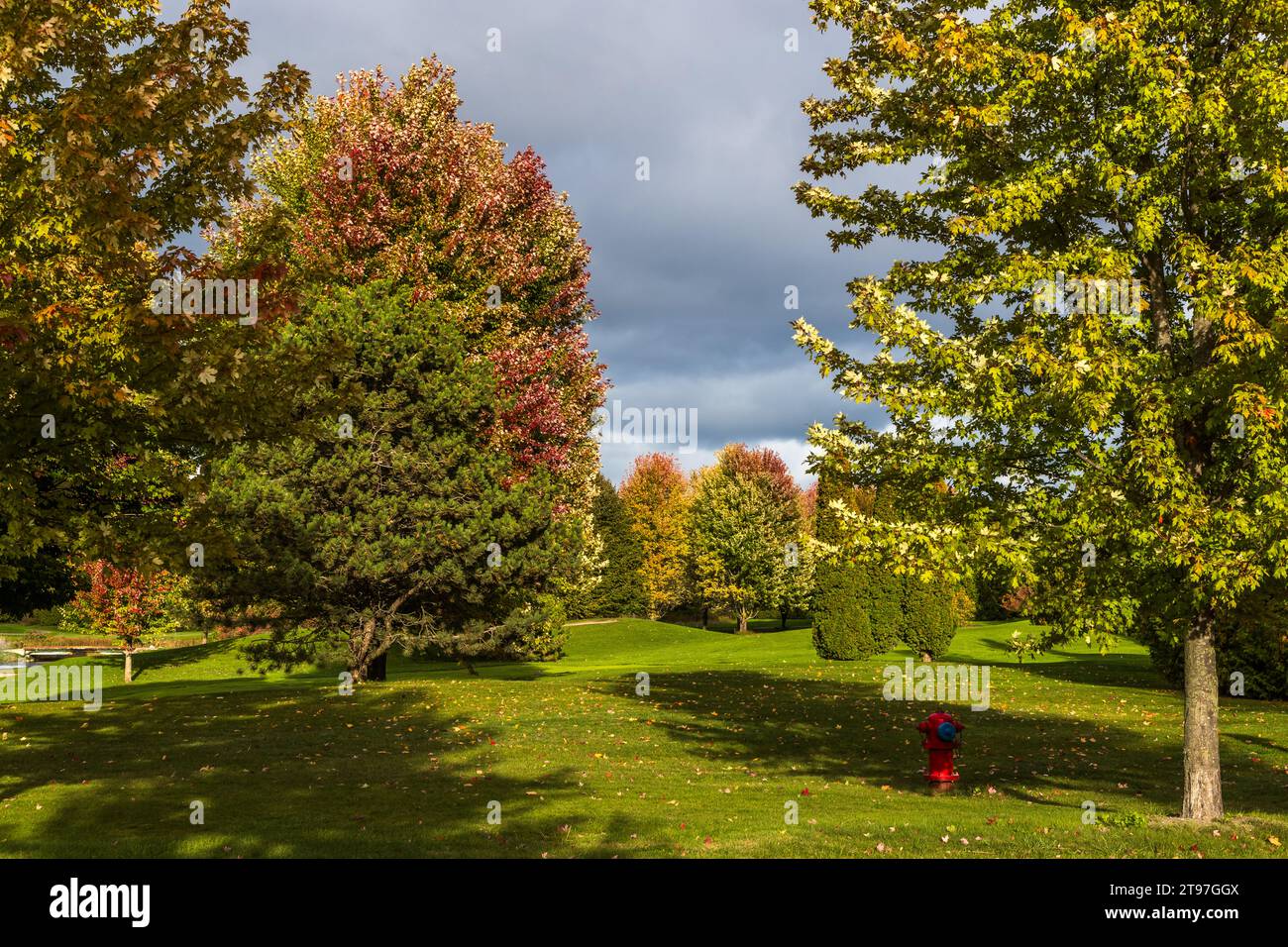 Woodlands at the Grand Hotel Mackinac Island. Trees in autumnal colors and a small red water hydrant on the meadow. Indian summer in Mackinac Island Park. Mackinac Island, Michigan, United States Stock Photo