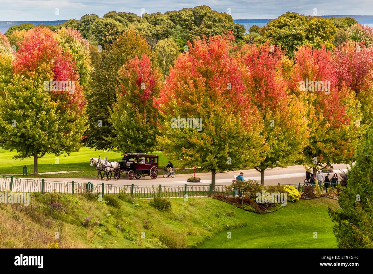 Horse-drawn carriage and trees in bright autumnal colors on Cadotte Avenue. The driveway to the Grand Hotel Mackinac Island. Motor vehicles are not permitted on Mackinac Island. Therefore, the carriage is the main means of transportation. Mackinac Island, Michigan, United States Stock Photo