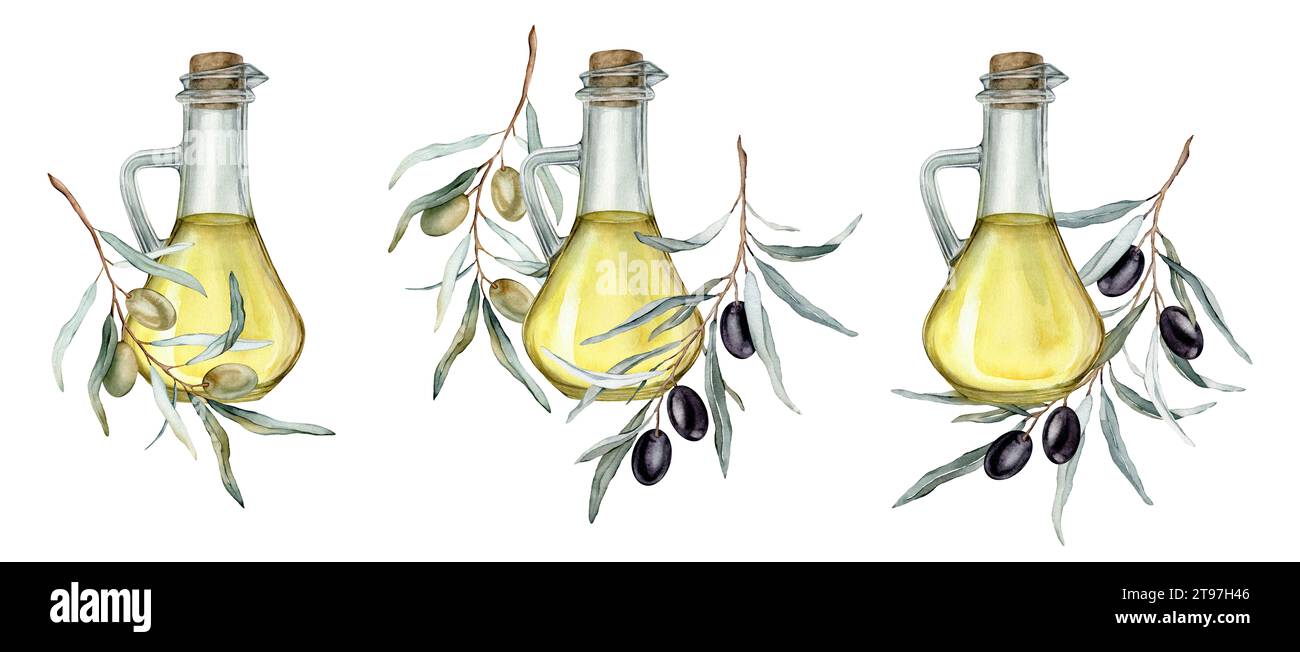 Olive oil in glass bottle. Hand drawn illustration isolated background