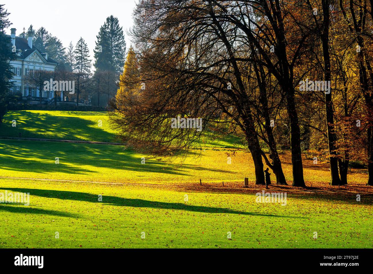 Fall Colours at Wenkenhof Park, Riehen, Canton of Basel-Stadt, Switzerland. Stock Photo
