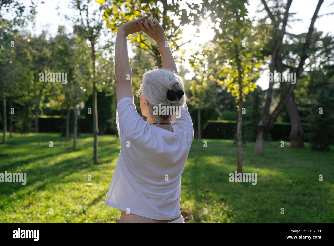 Serene mature woman gray hair hi-res stock photography and images - Alamy