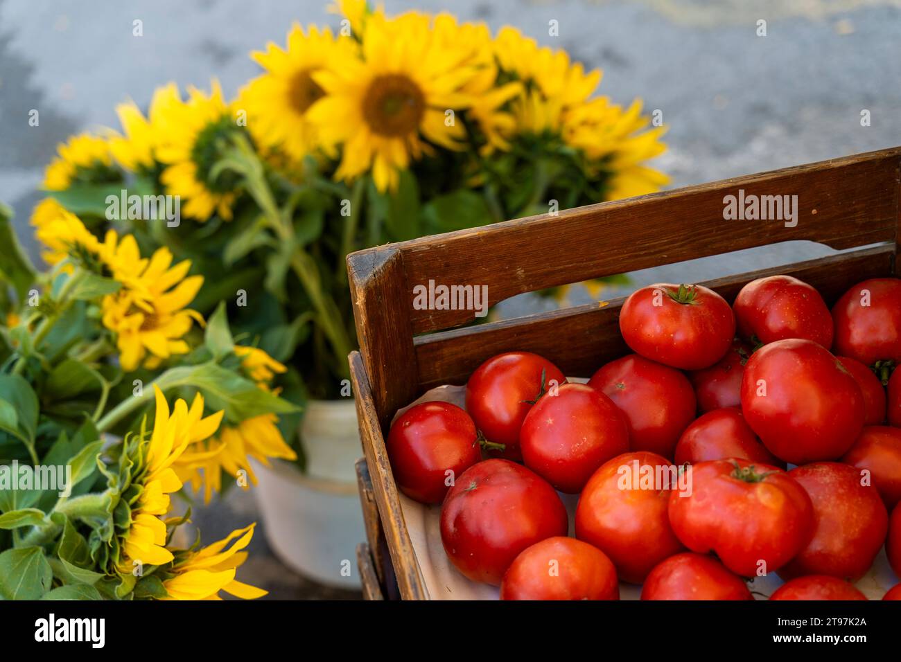Crates of juicy red tomatoes near sunflowers at farmer's market Stock Photo
