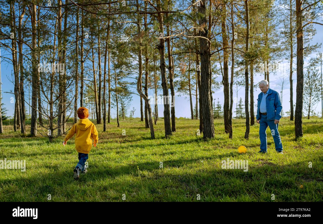 Grandfather and grandson playing with ball in park Stock Photo