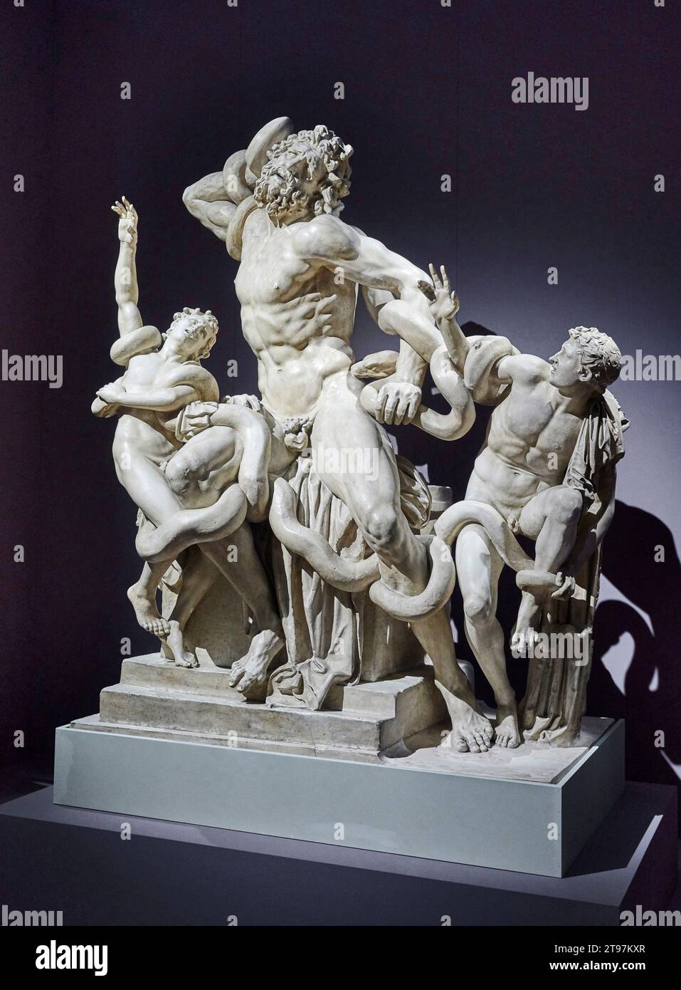 Gruppo statuario di Laocoonte  -  calco in gesso di Silvio Ferri e Luigi Mercatali - 1957    -  Pisa, Gipsoteca di Arte Antica e Antiquarium dell’ Uni Stock Photo