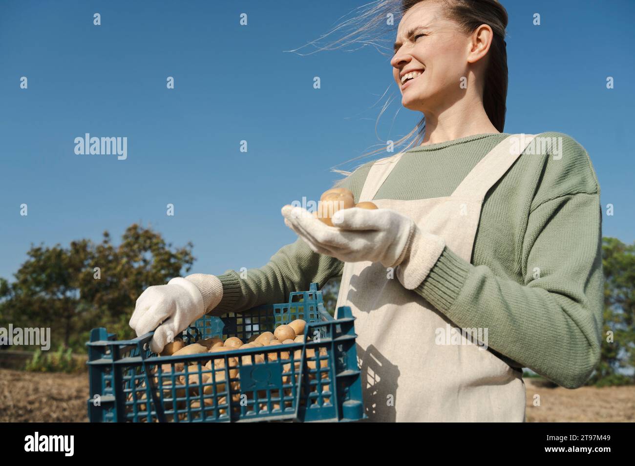Smiling farmer holding potato crate at farm Stock Photo - Alamy