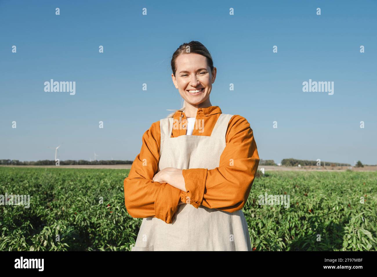 Crossed field hi-res stock photography and images - Alamy