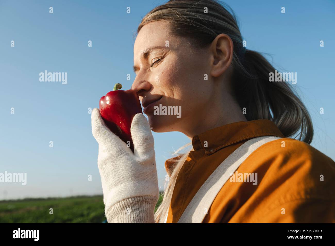 Farmer smelling organic red bell pepper under sky Stock Photo