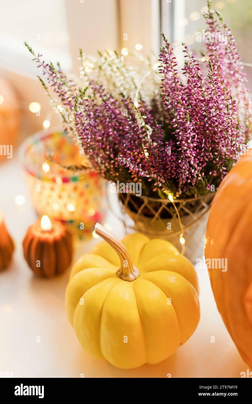 Decoration of pumpkins and flowers with lights on Halloween Stock Photo