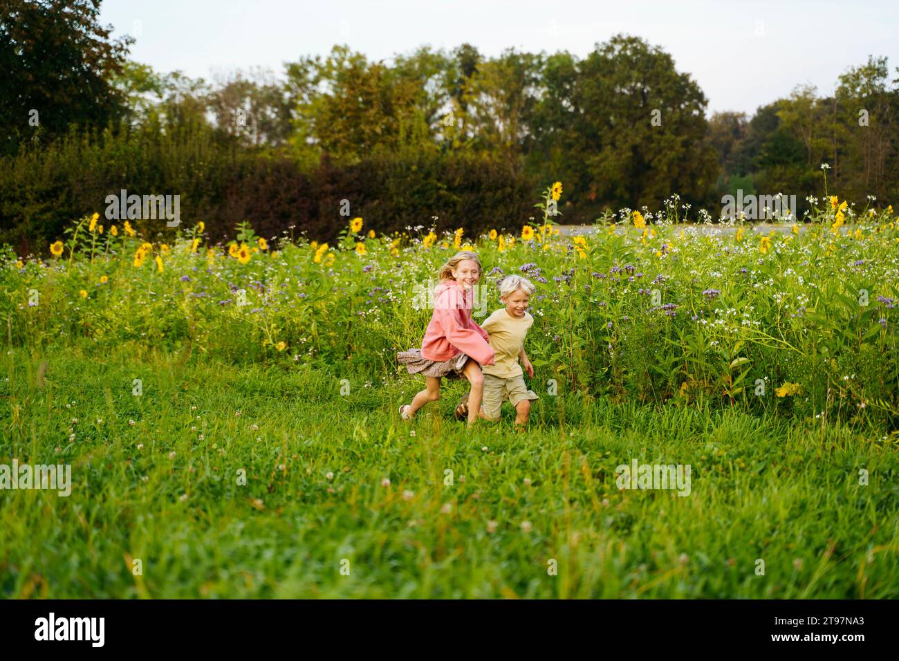 Happy sister and brother running in sunflower field Stock Photo - Alamy