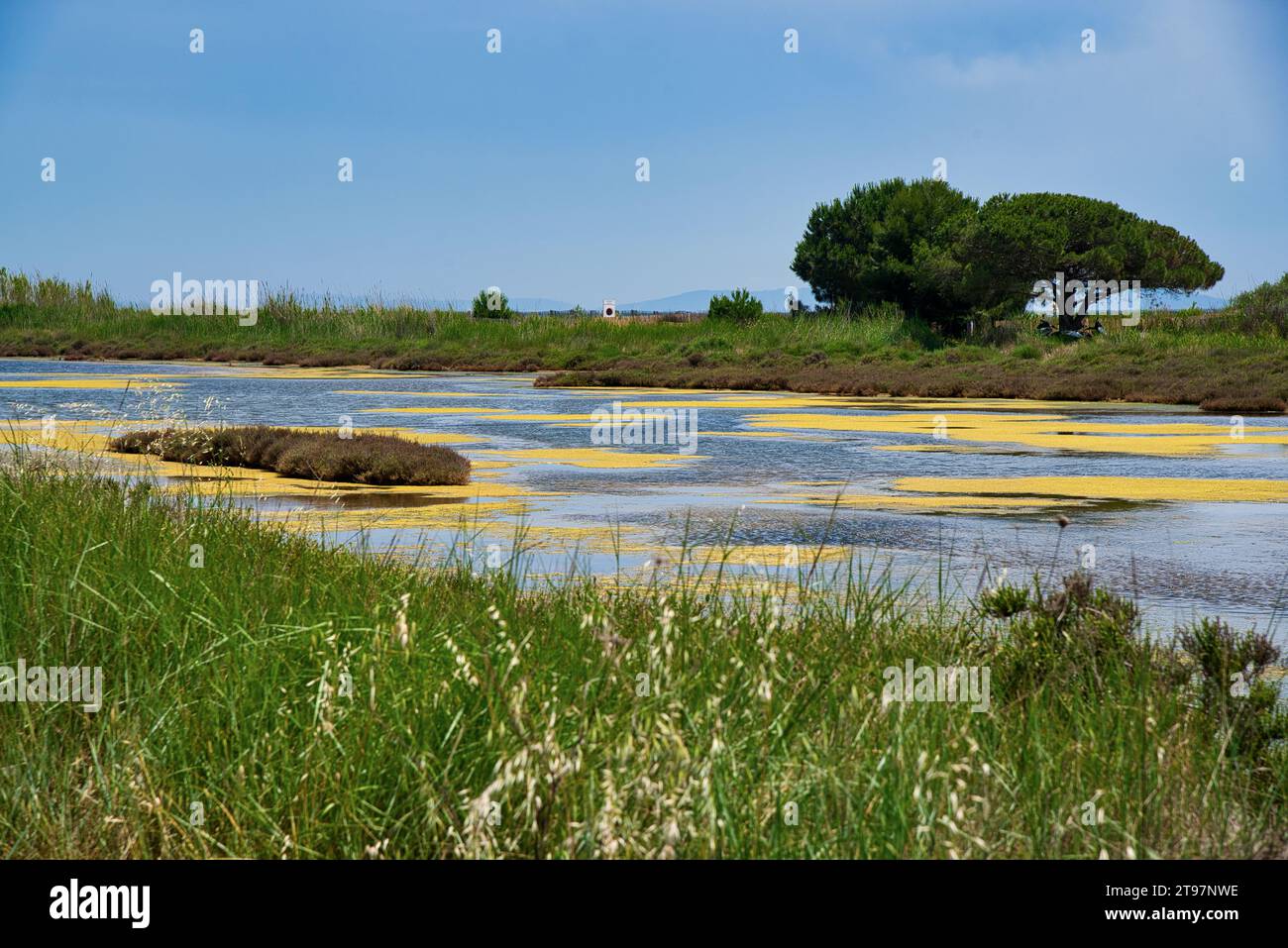 les anciens salins et marais salants d'Hyères dans le var - the ancient salt pans and salt marshes of Hyères in the var department Stock Photo