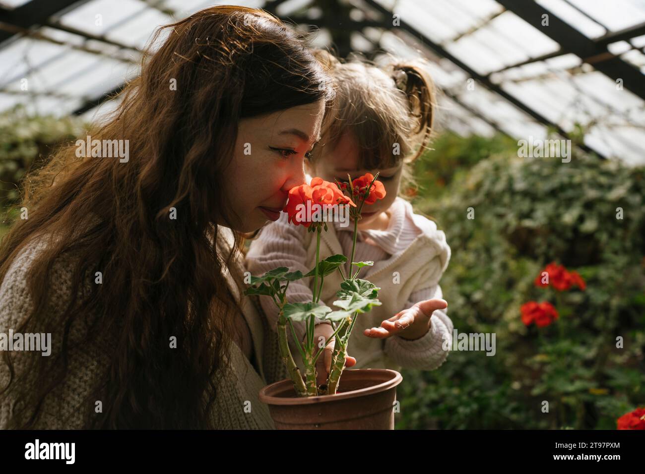 Children smelling flowers red hi-res stock photography and images - Alamy