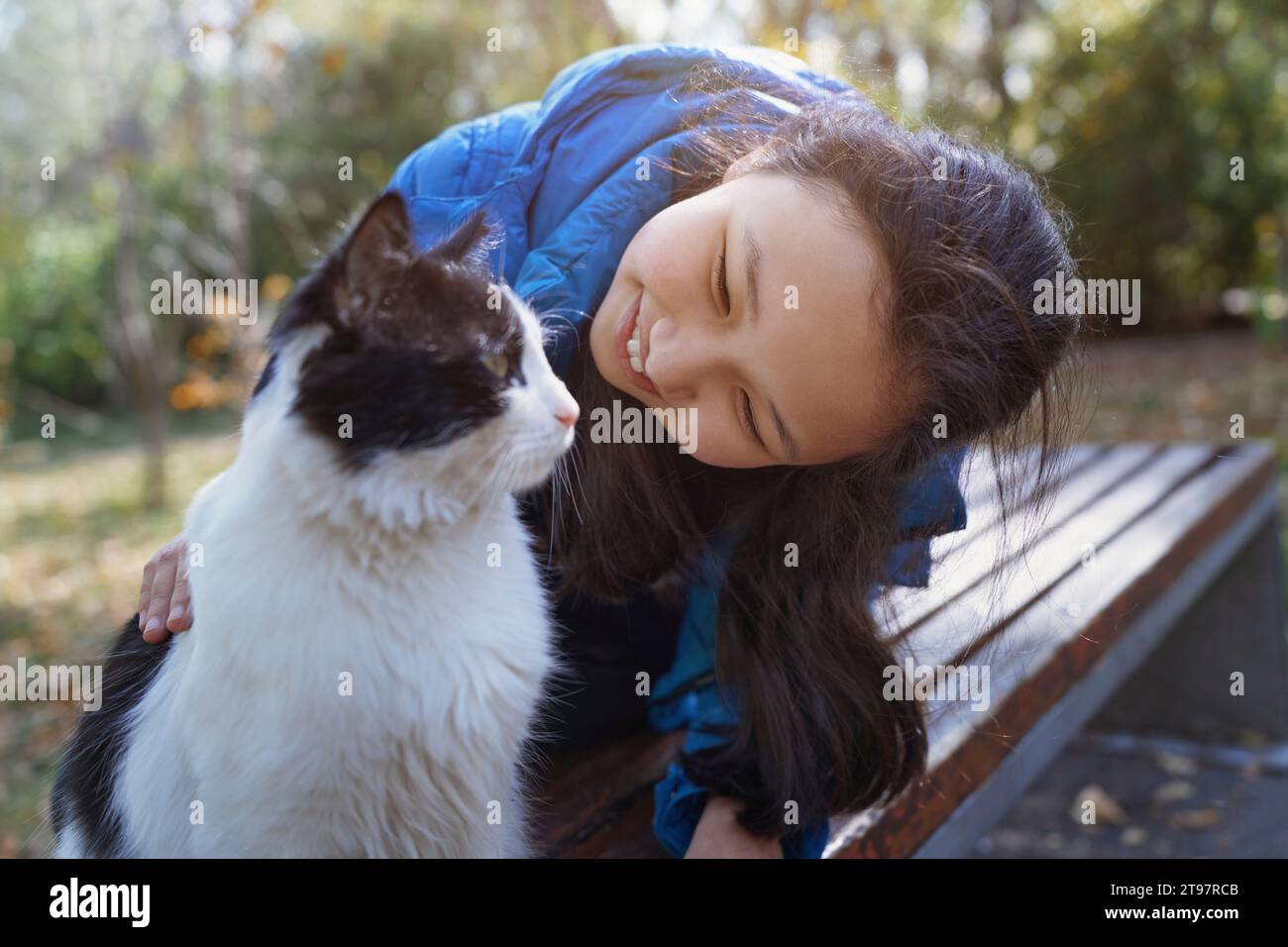 Happy girl playing with cat at park Stock Photo - Alamy