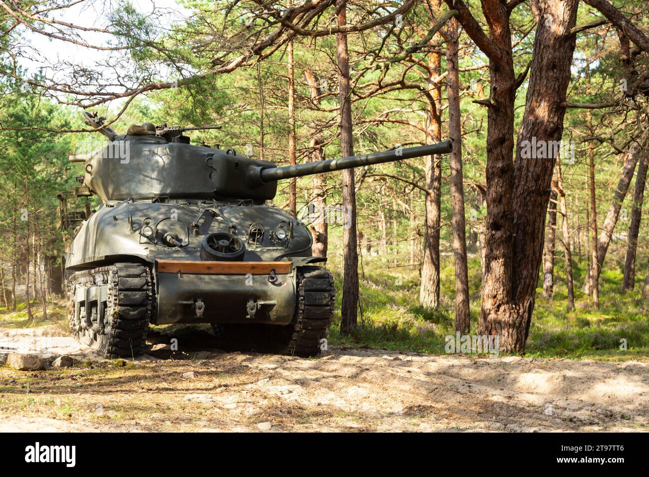 American World War II Sherman tank in the forest. Stock Photo