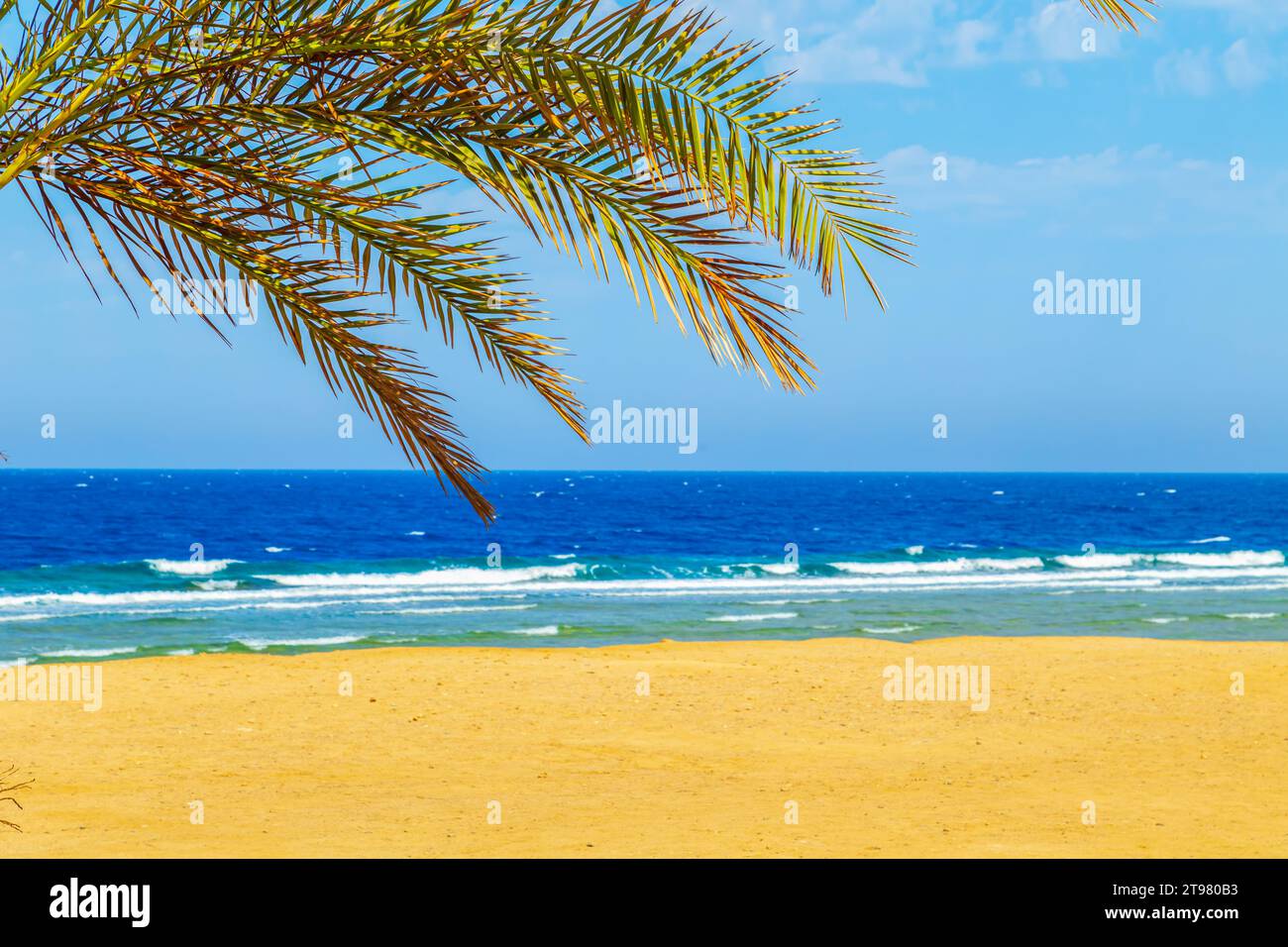 Sunny resort beach with palm trees and umbrellas on the shores of the Red Sea. Safaga, Egypt - October 24, 2023. Stock Photo