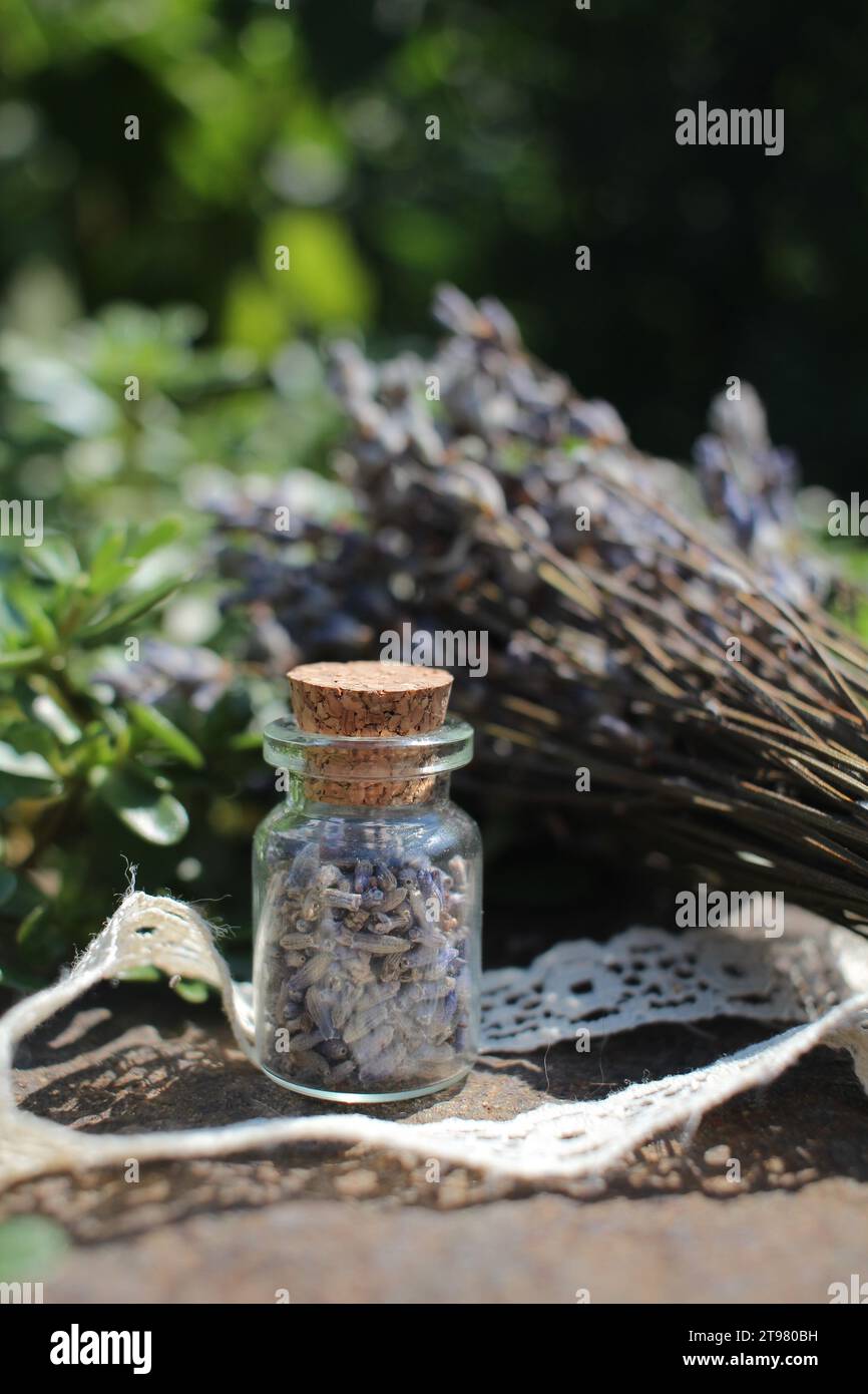 Small Bottle of Lavanda Seeds Stock Photo