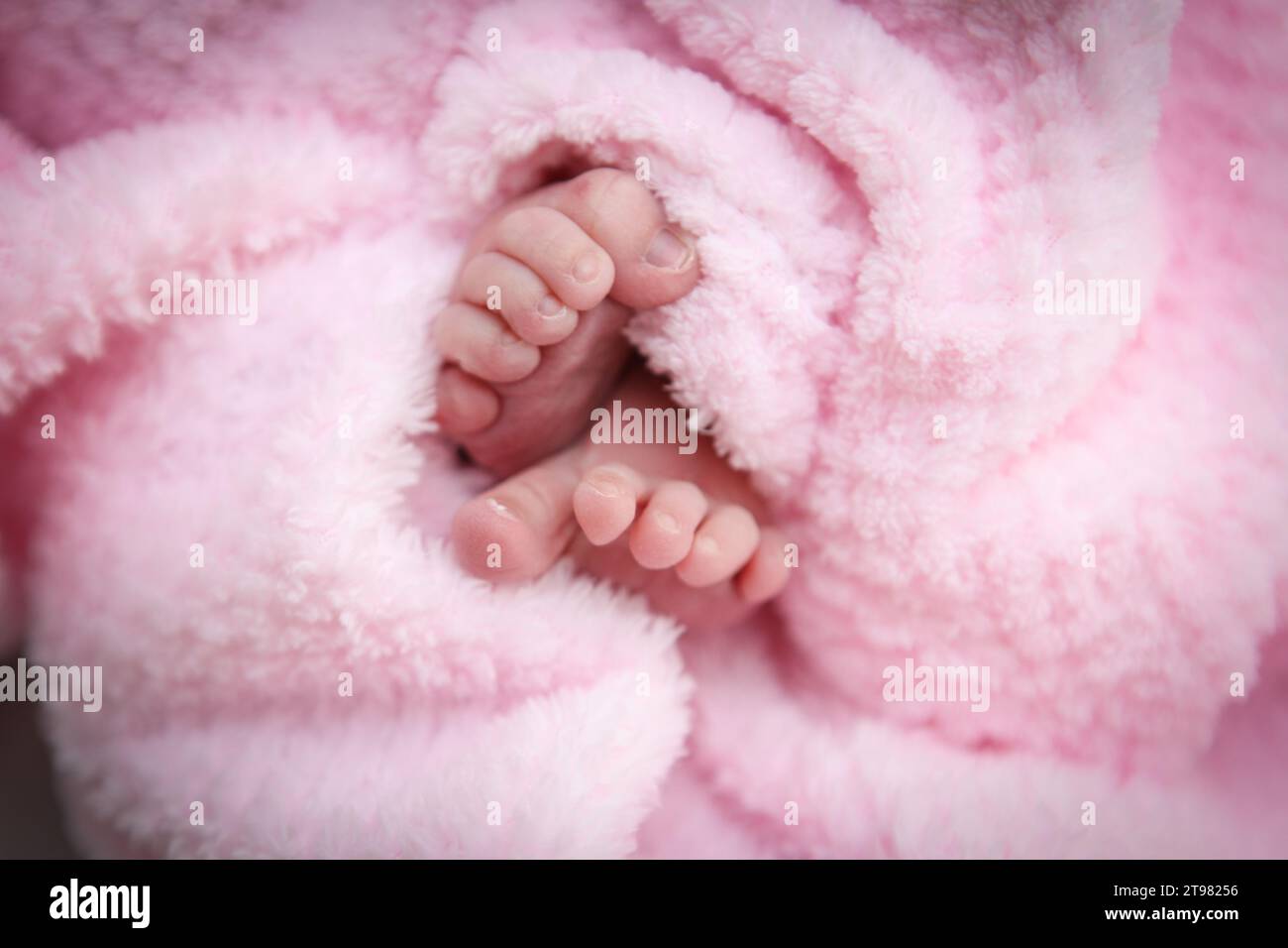 Baby Toes Stock Photo