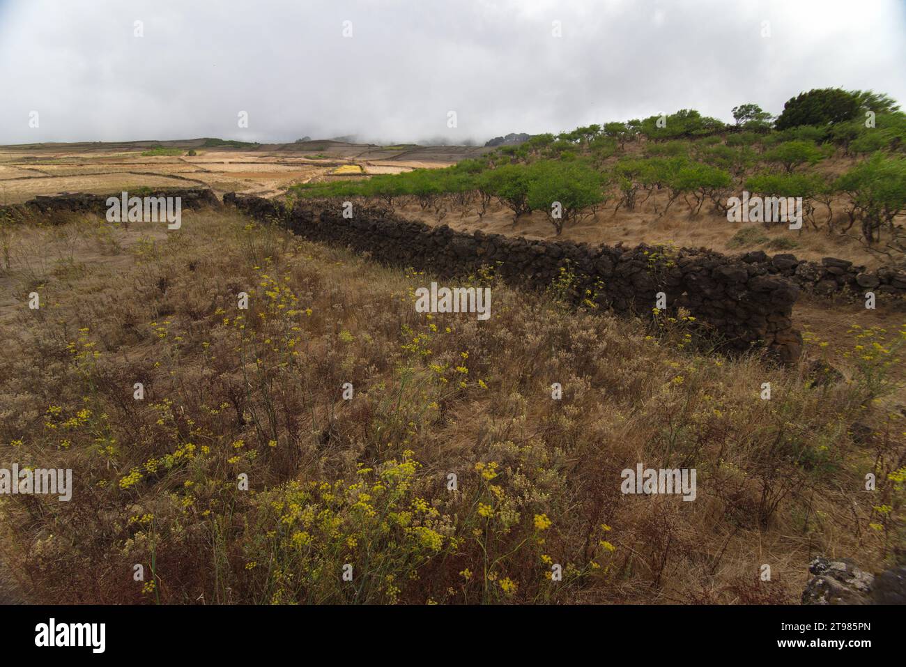 Agricultural landscape of Nisdafe, El Hierro Island, Canary Islands. paisaje agrícola de Nisdafe  la Isla de El Hierro, Canarias Stock Photo