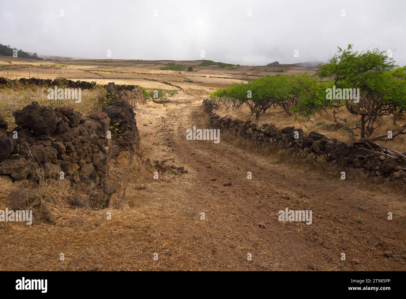 Agricultural landscape of Nisdafe, El Hierro Island, Canary Islands. paisaje agrícola de Nisdafe  la Isla de El Hierro, Canarias Stock Photo